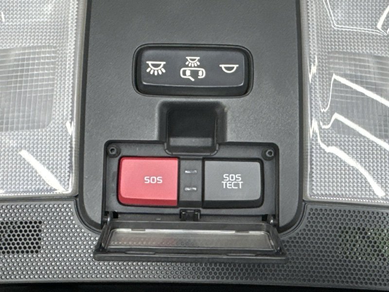 Плафон салонный с футляром для очков(очечник) Kia Ceed 3 2021 SW