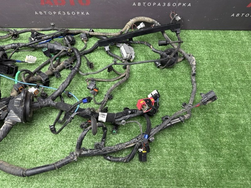 Проводка моторного отсека с повреждениями Kia Ceed 3 2021 SW