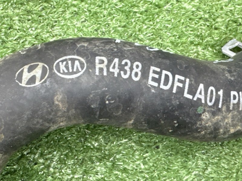 Патрубок радиатора верхний Kia Ceed 3 2021 SW