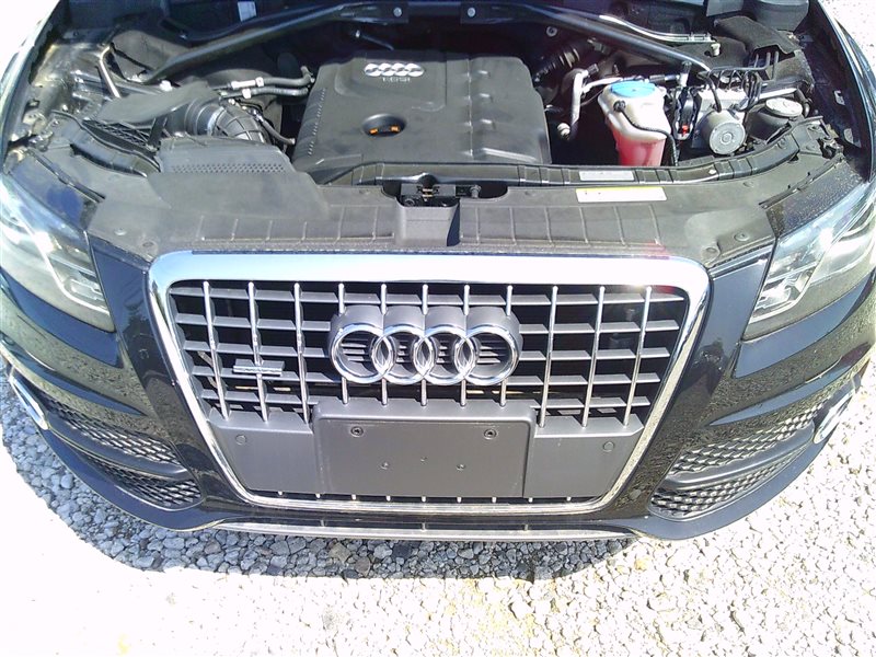Audi Q5 8R 2.0 CDN 2010 дорест. 2008—2012 Audi Q5 2010 8R