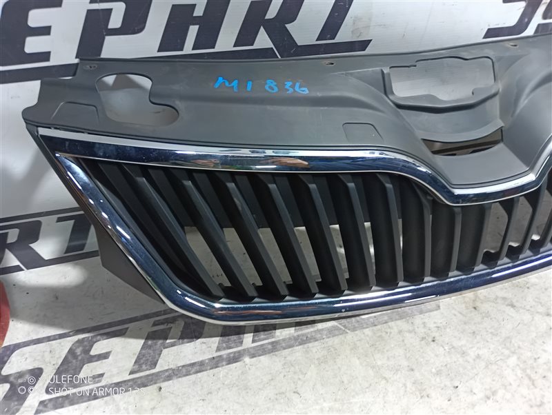 Решетка радиатора Skoda Rapid 2016