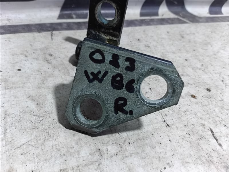 Петля двери Volkswagen Passat 2009 B6