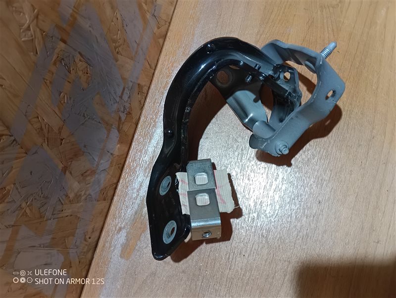 Петля двери багажника Audi Q5 2010 8R