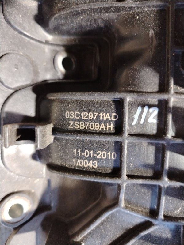 Впускной коллектор Skoda Octavia 2009
