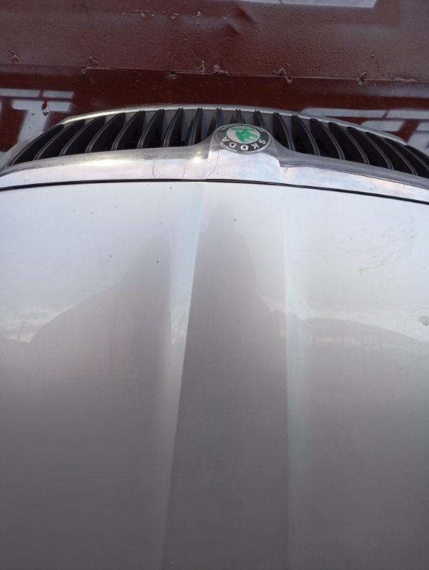 Капот Skoda Octavia 2009