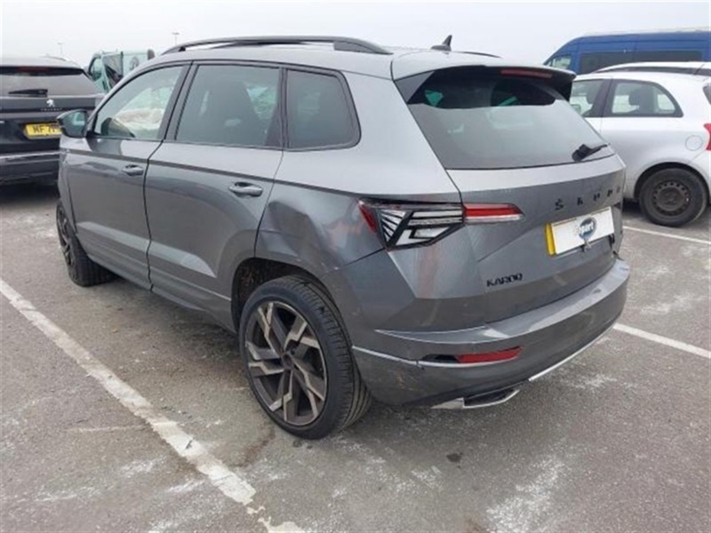 Skoda Karoq 2.0 DNNA 2024 Skoda Karoq 2024