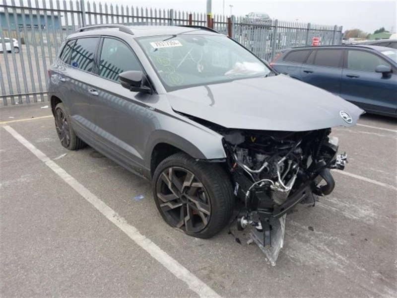 Skoda Karoq 2.0 DNNA 2024 Skoda Karoq 2024