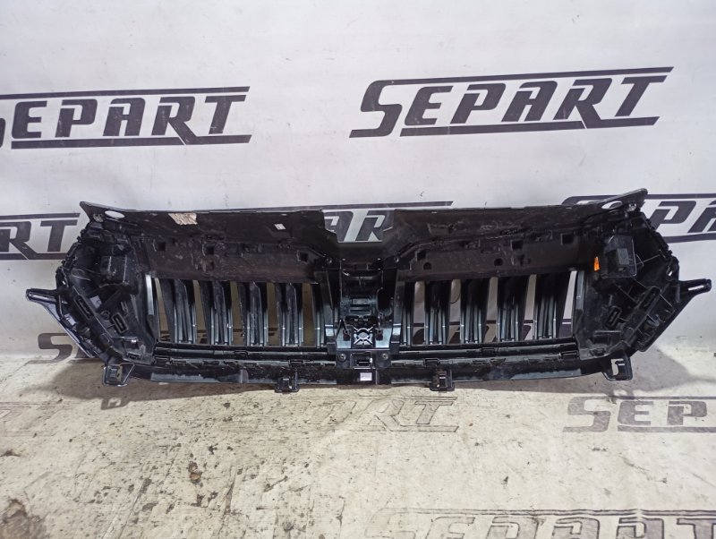Решетка радиатора Skoda Karoq 2024