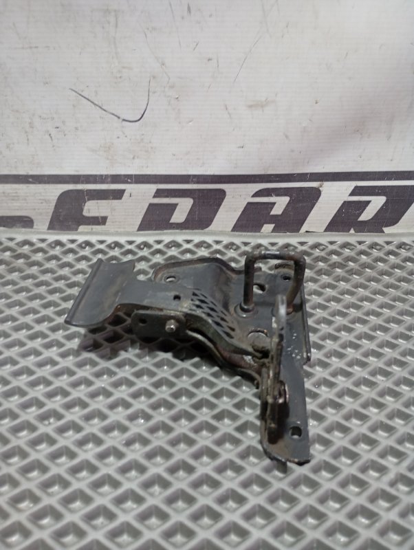 Петля капота Audi A6 ALLROAD 2010 C6