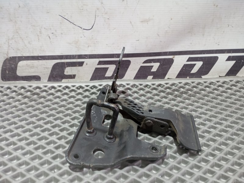 Петля капота Audi A6 ALLROAD 2010 C6