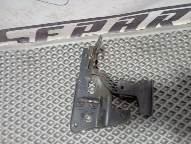 Петля капота Audi A6 ALLROAD 2010 C6