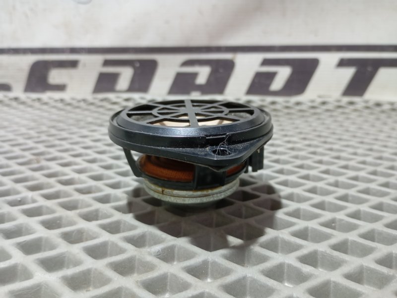 Динамик Audi A4 2008 B8