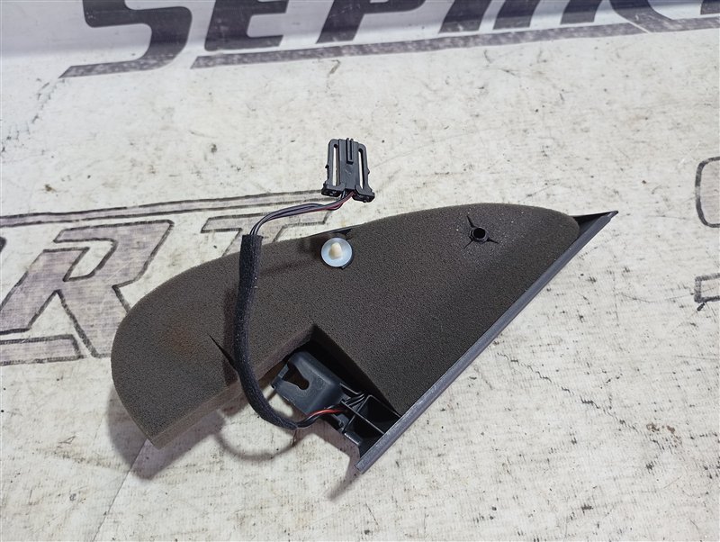 Динамик ВЧ Volkswagen Tiguan 2012 5N