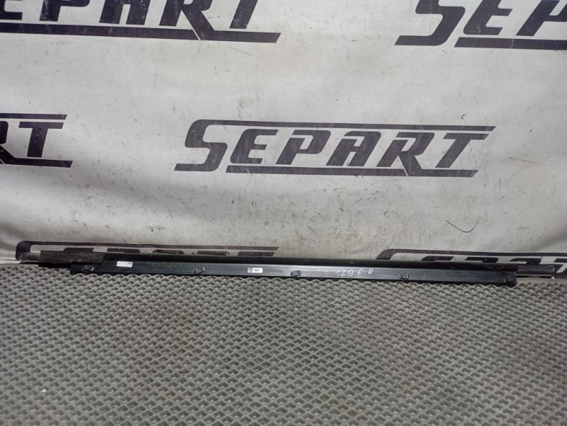 Молдинги дверей Audi A4 2006 B7