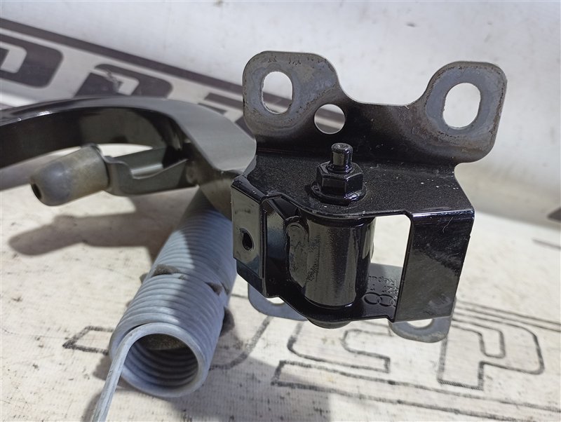 Петля крышки багажника Audi A4 2016 B9