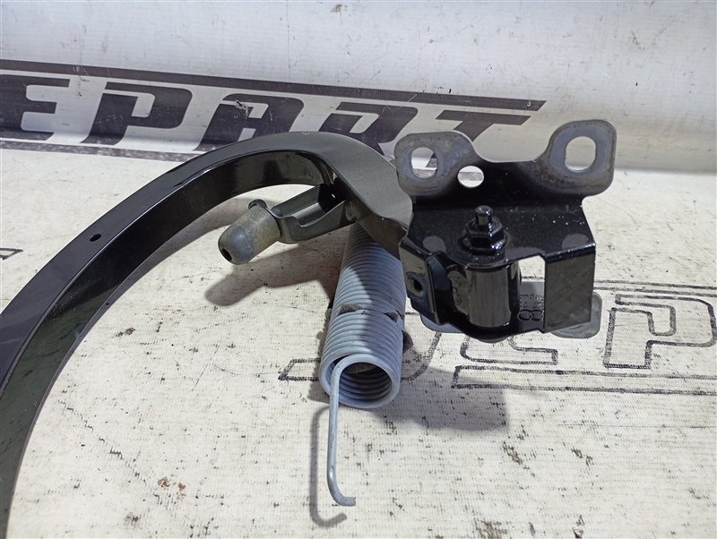 Петля крышки багажника Audi A4 2016 B9