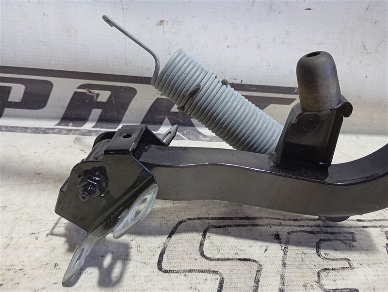 Петля крышки багажника Audi A4 2016 B9