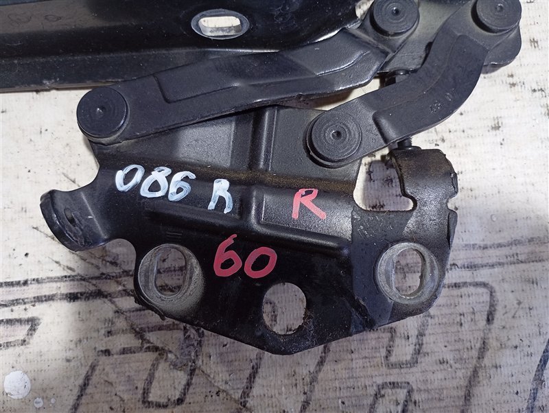 Петля капота Volkswagen Passat 2008 B6