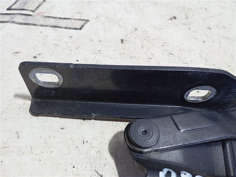 Петля капота Volkswagen Passat 2008 B6