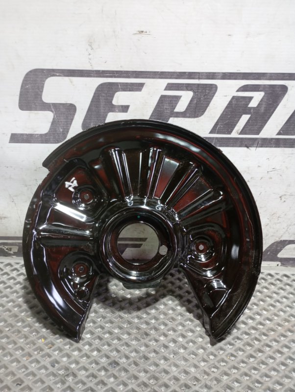 Пыльники тормозных дисков Volkswagen Tiguan 2017 AD1