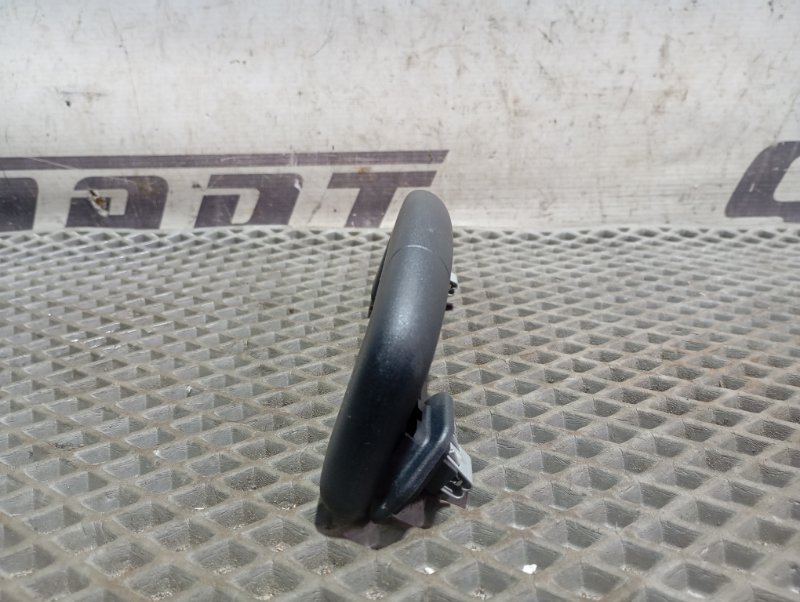 Ручки потолочные Skoda Karoq 2024