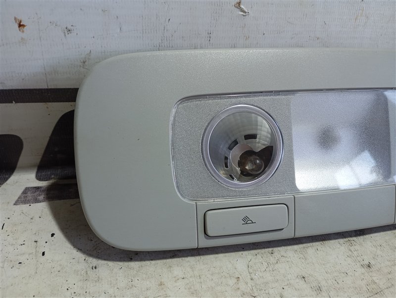 Плафон салона Volkswagen Passat 2008 B6