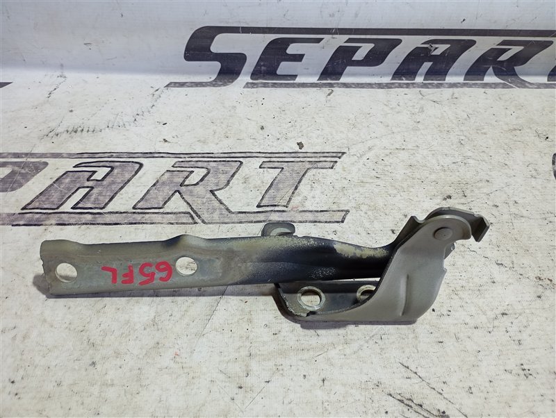 Петля капота Volkswagen Tiguan 2012 5N