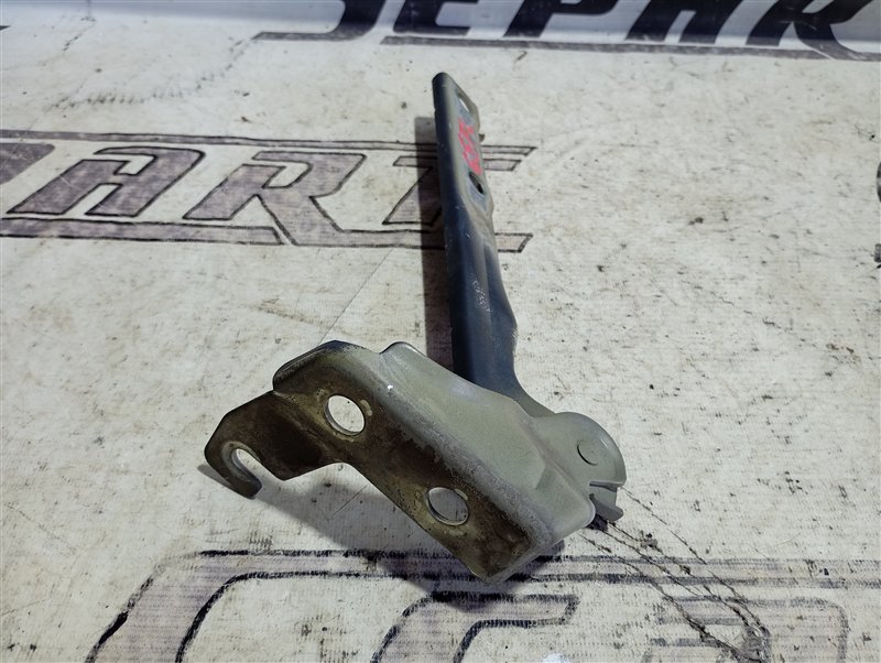 Петля капота Volkswagen Tiguan 2012 5N