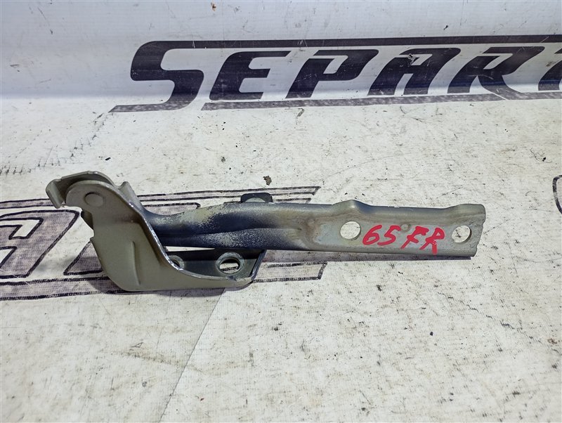 Петля капота Volkswagen Tiguan 2012 5N