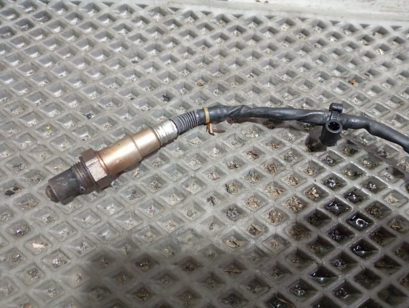 Датчик кислородный Volkswagen Touareg 2006 GP