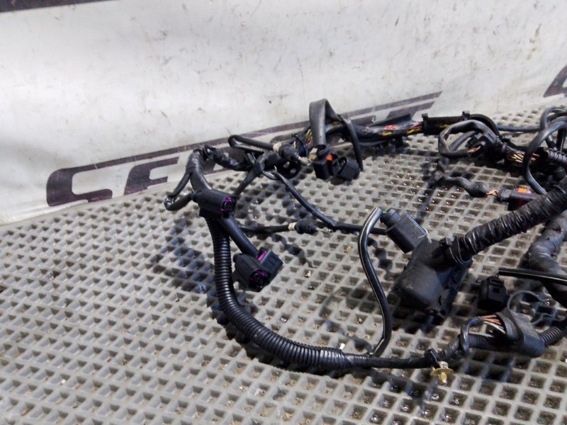 Проводка двигателя Volkswagen Touareg 2006 GP