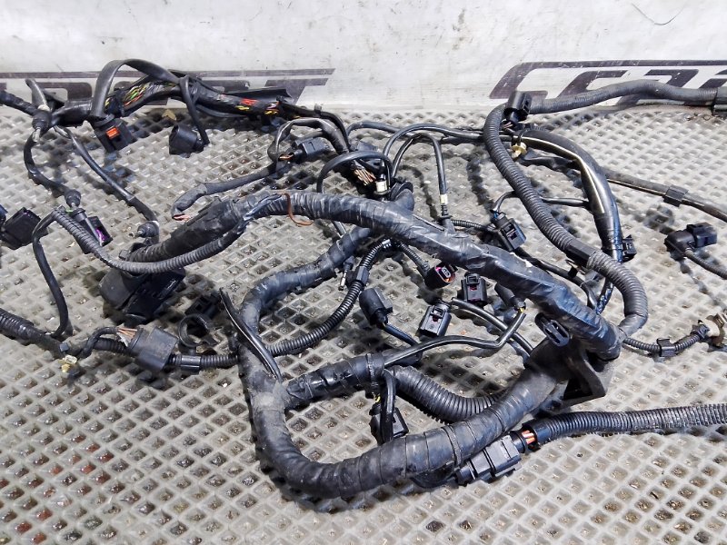 Проводка двигателя Volkswagen Touareg 2006 GP