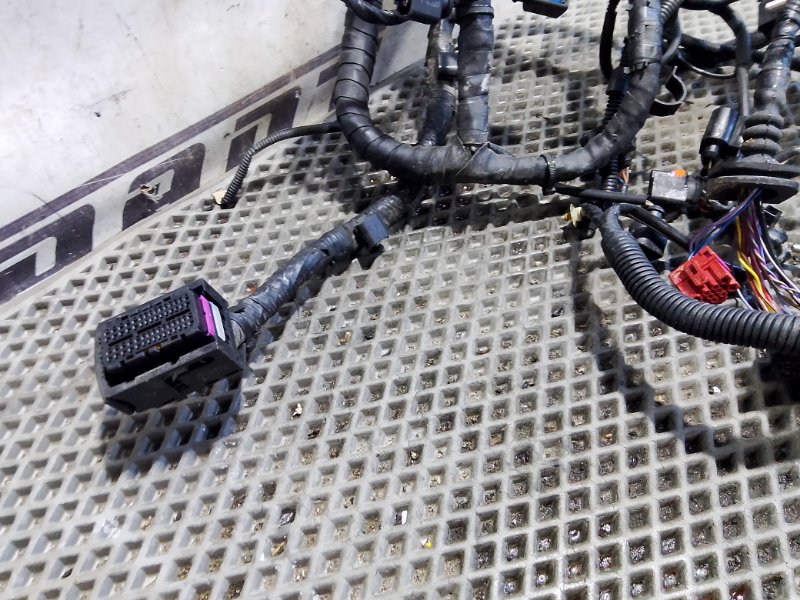 Проводка двигателя Volkswagen Touareg 2006 GP