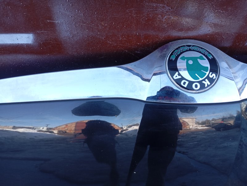 Капот Skoda YETI 2011 5L