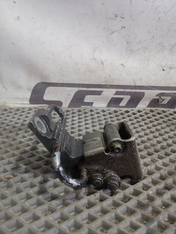 Петля двери Volkswagen Touareg 2006 GP