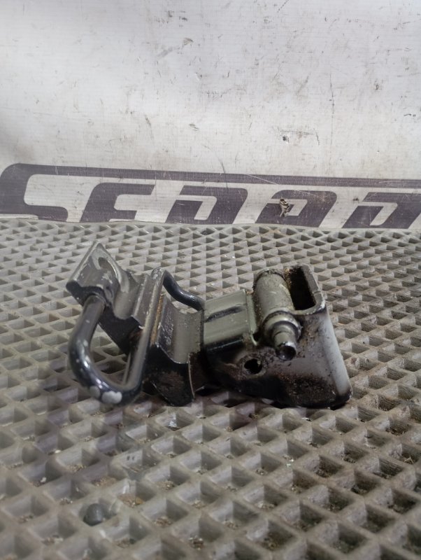 Петля двери Volkswagen Touareg 2006 GP