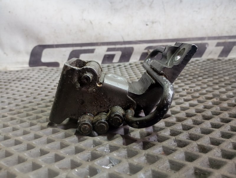 Петля двери Volkswagen Touareg 2006 GP