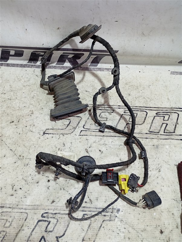 Проводка двери Volkswagen Passat 2008 B6