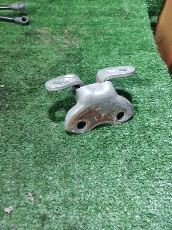 Петля двери Toyota Auris