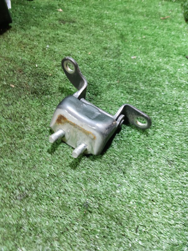 Петля двери Geely Emgrand EC7 2014 FE-2