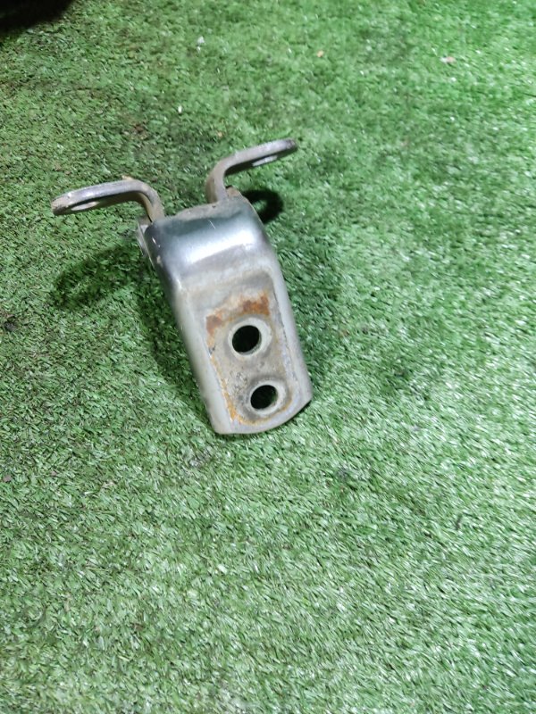 Петля двери Geely Emgrand EC7 2014 FE-2