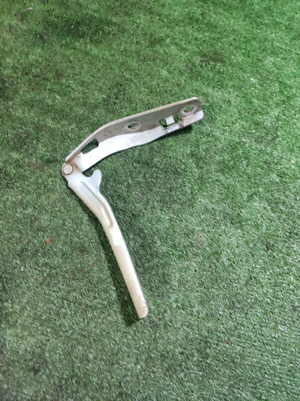 Петля капота Peugeot 206