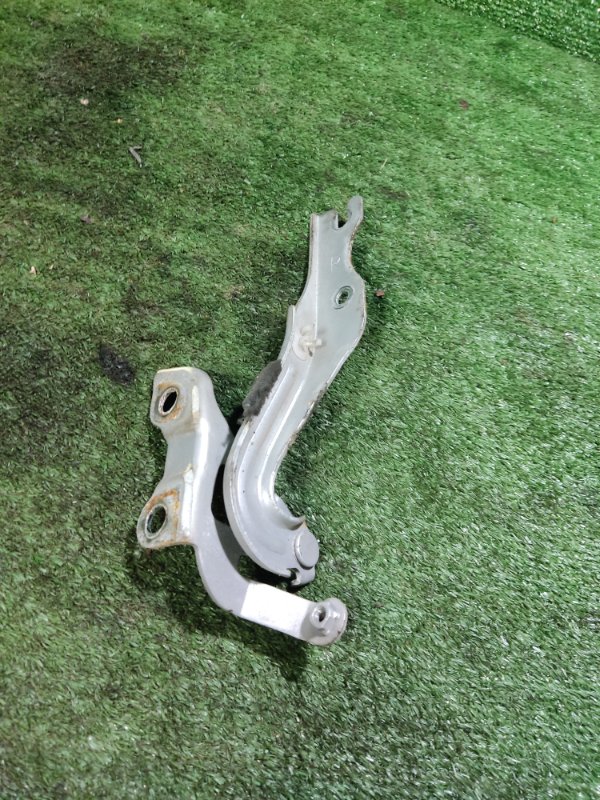 Петля капота Haima M3 2014