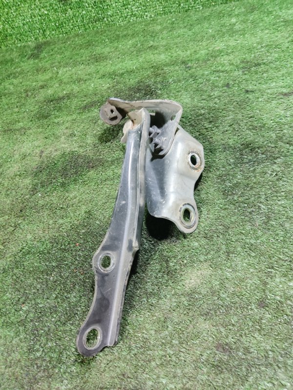 Петля капота Toyota Land Cruiser 2008 200