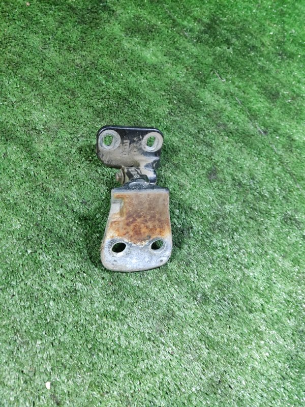 Петля двери Land Rover Discovery 2006 3