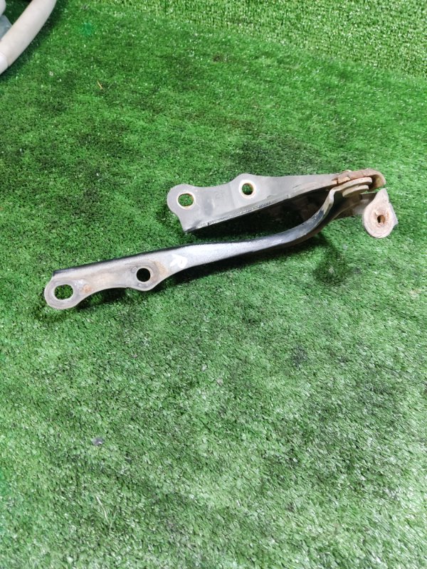 Петля капота Toyota Land Cruiser 2008 200