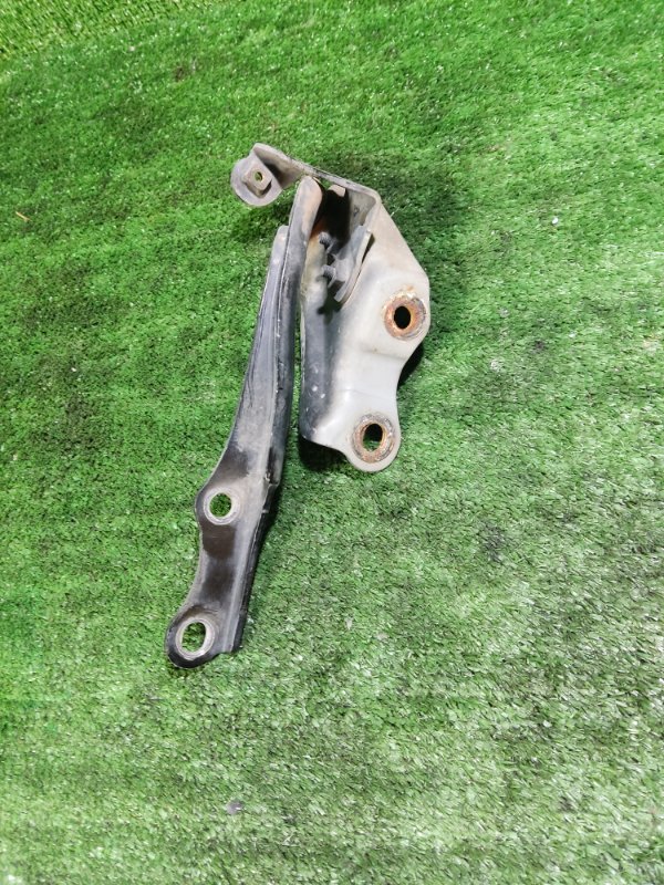 Петля капота Toyota Land Cruiser 2008 200
