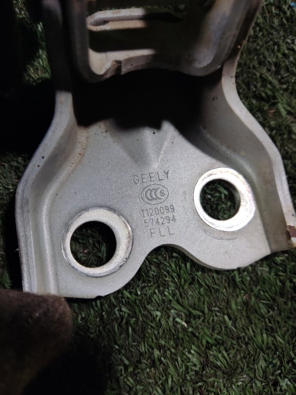 Петля двери Geely Emgrand EC7 2014 FE-1