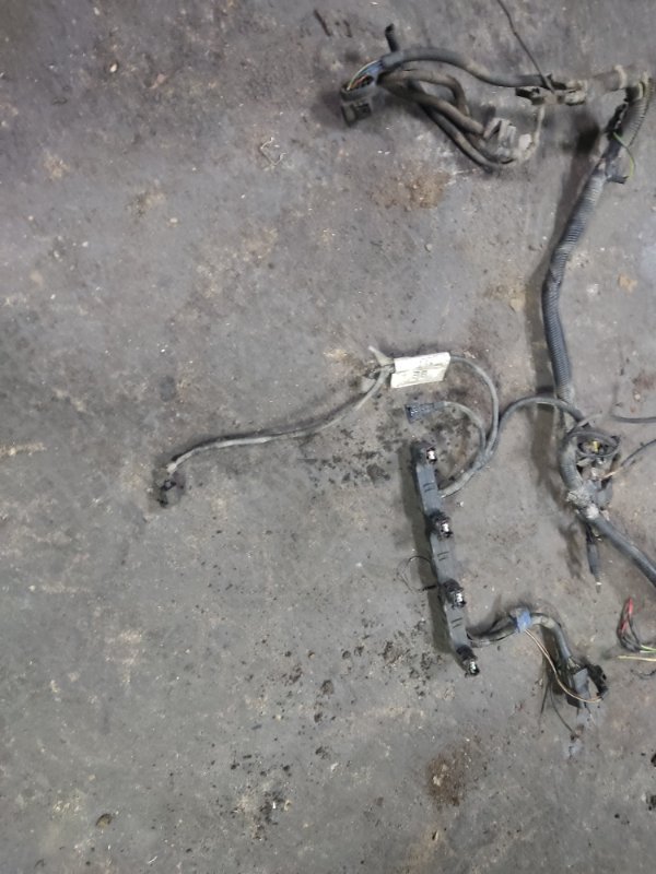Проводка моторная Ford Focus 2005 1