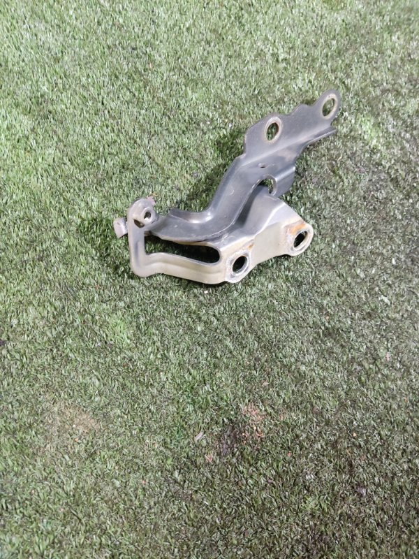 Петля капота Geely Emgrand EC7 2013 FE-1